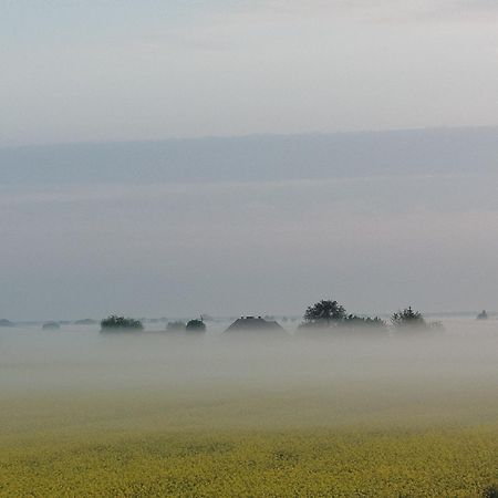 Tropikalna Odnowa Bed and Breakfast Falkowo Eksteriør billede